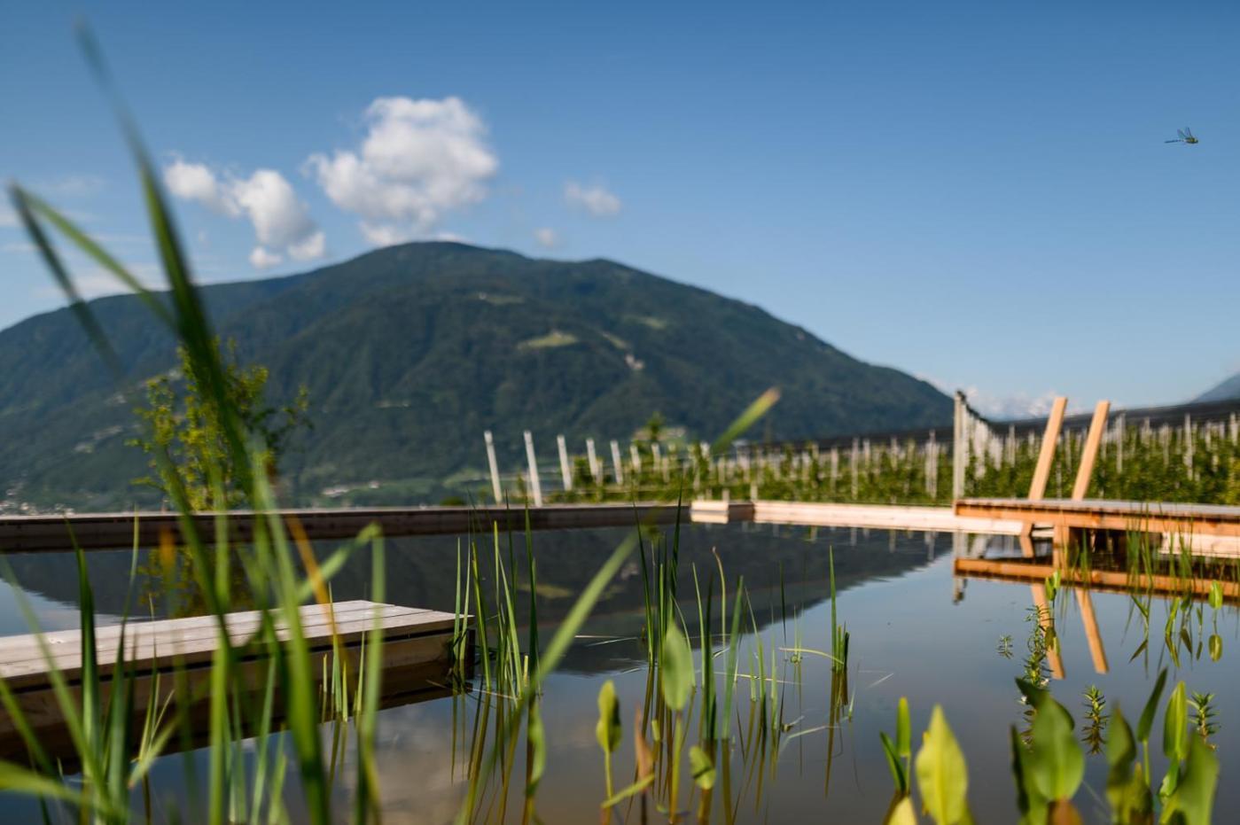 Pataunerhof Tirol Ngoại thất bức ảnh