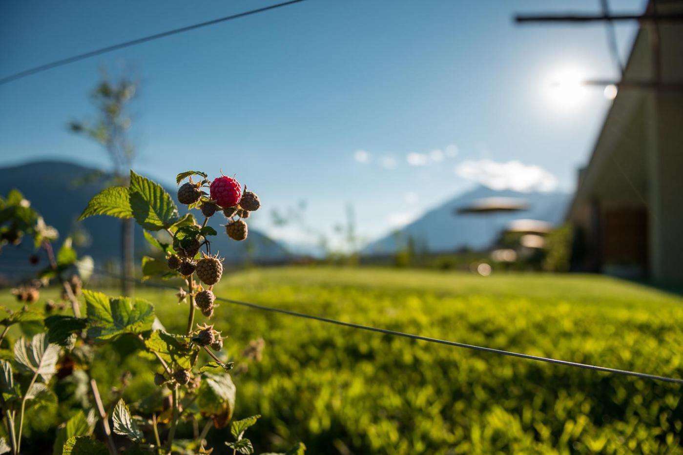 Pataunerhof Tirol Ngoại thất bức ảnh